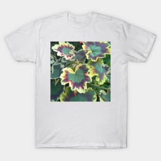 Geranium (Pelargonium) Leaves T-Shirt